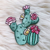 Prickly Pear Cactus Patch